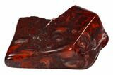 Bargain Polished Stromatolite (Collenia) - Minnesota #108593-1